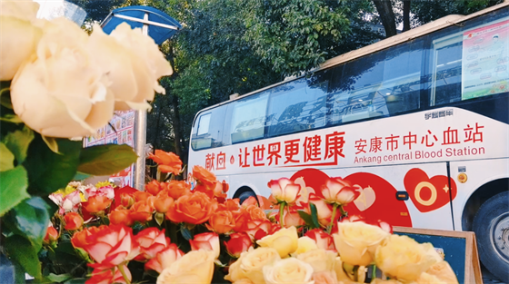 安康這三兄妹，熱血！