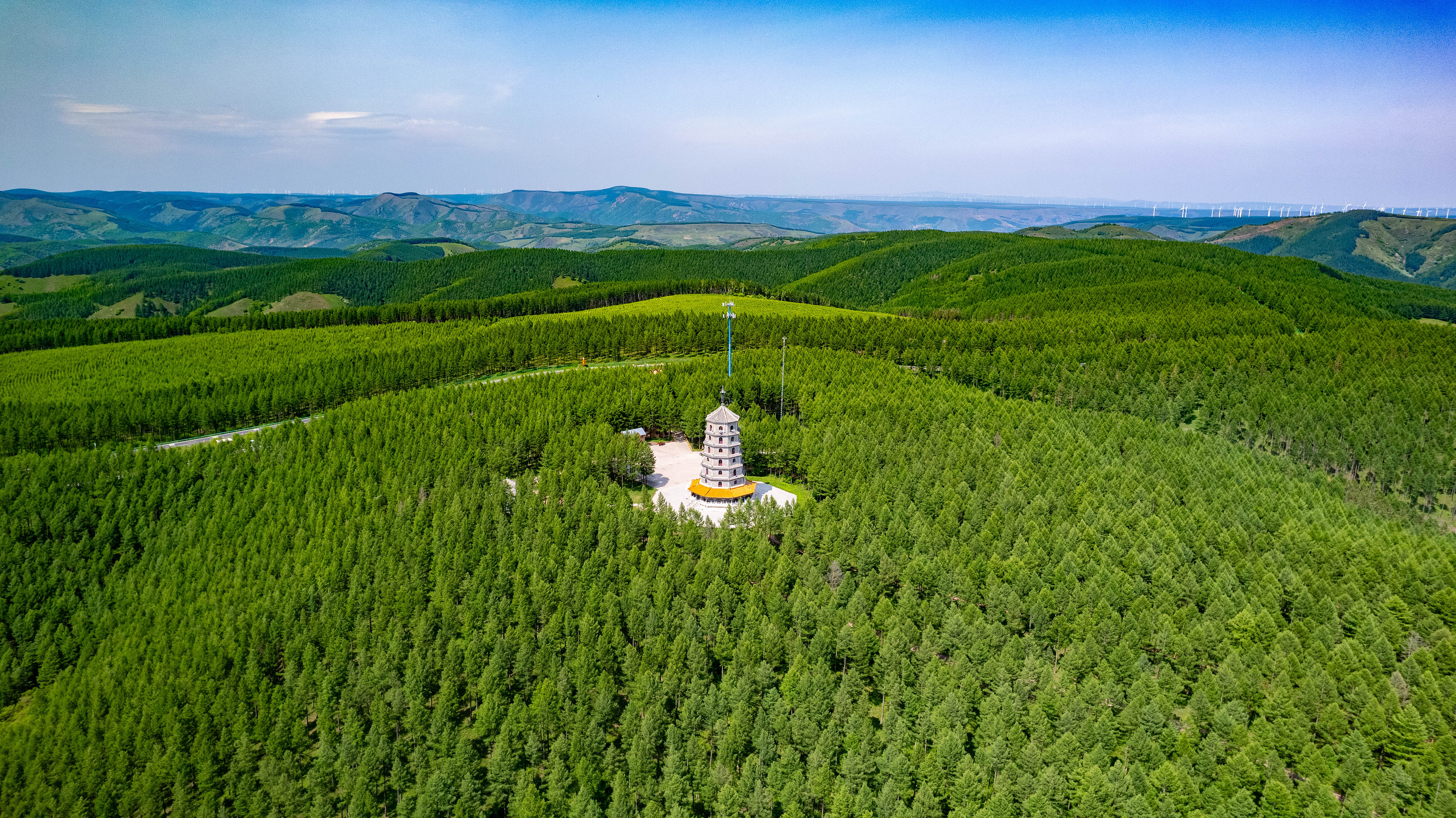 2025年6月11日，河北承德，塞罕壩林海浩渺。